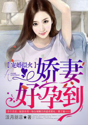 宠婚似火:娇妻,好孕到!