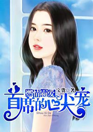 燃情霸爱:首席的心尖宠