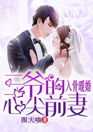 入骨暖婚:三爷的心尖前妻