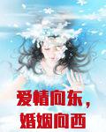 爱情向东,婚姻向西