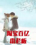 淘宝百亿小老板