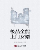 极品全能上门女婿