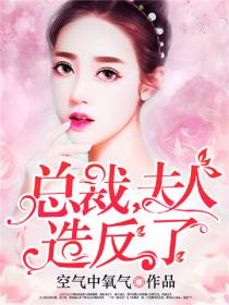 总裁,夫人造反了