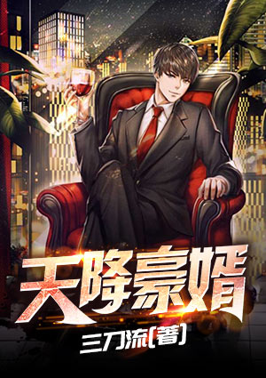 天降豪婿