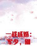 一战成婚:军少,别动粗