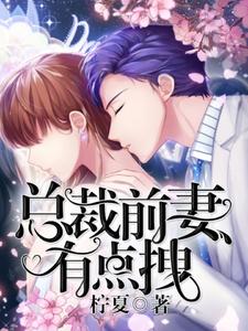 总裁,前妻有点拽