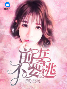 非你莫属:前妻不要逃