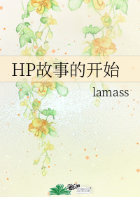 HP故事的开始