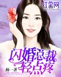 闪婚总裁花式宠妻