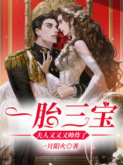 一胎三宝:夫人又又又帅炸了