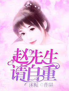 赵先生,请自重
