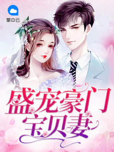 盛宠豪门宝贝妻