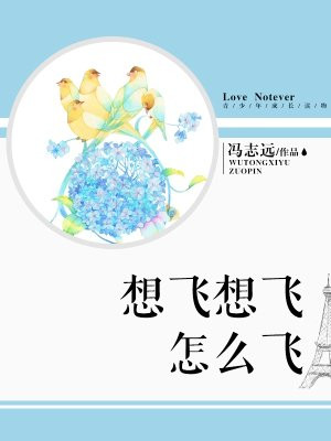 想飞想飞怎么飞