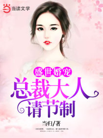 盛世婚宠:总裁大人请节制