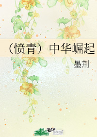 (愤青)中华崛起