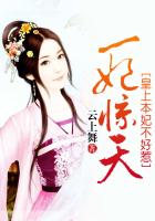 一妃惊天:皇上本妃不好惹