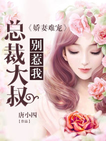 娇妻难宠:总裁大叔,别惹我