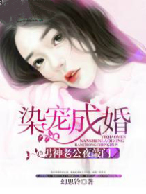 染宠成婚:男神老公夜敲门