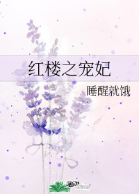 红楼之宠妃