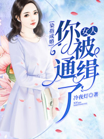 染指成婚:女人,你被通缉了