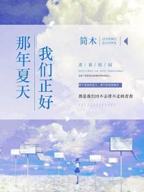 那年夏天,我们正好
