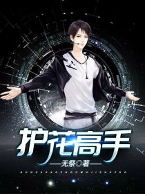 护花高手1