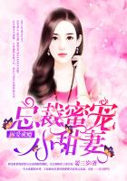 囚爱成瘾:总裁蜜宠小甜妻