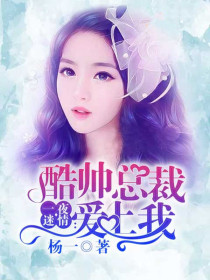 一夜迷情:酷帅总裁爱上我