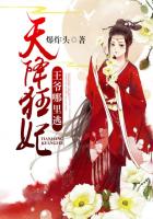 天降狂妃,王爷哪里逃