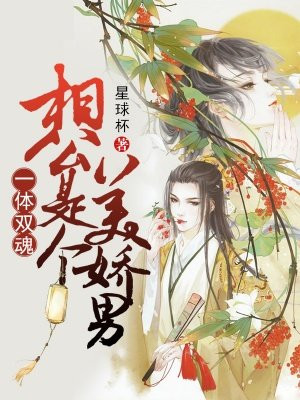 一体双魂:相公是个美娇男