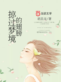 掠过梦境的翅膀