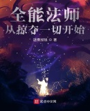 全能法师:从无限掠夺开始
