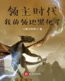 领主时代:我的领地黑化了
