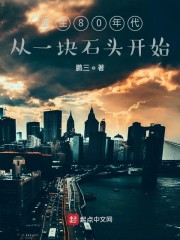 重生90:从一块翡翠毛料开始