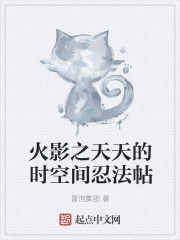 木叶之天天的时空间忍法帖