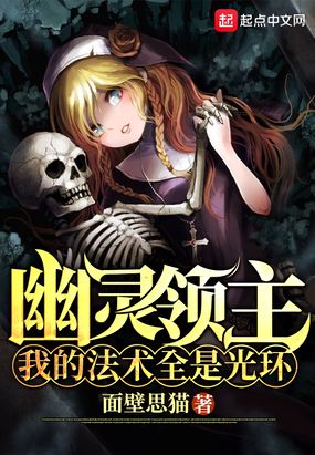 幽灵领主:我的法术全是光环