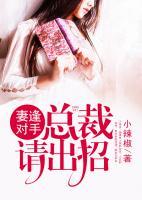 妻逢对手:总裁请出招