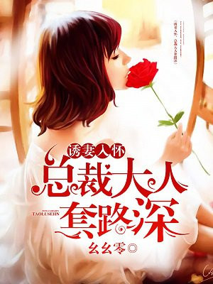 诱妻入怀:总裁大人套路深