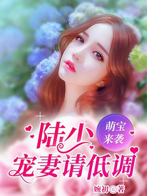 萌宝来袭:陆少宠妻请低调