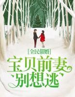 全民催婚:宝贝前妻别想逃