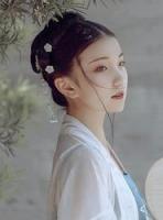 皇上,本宫不二嫁