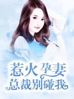 惹火孕妻,总裁别碰我