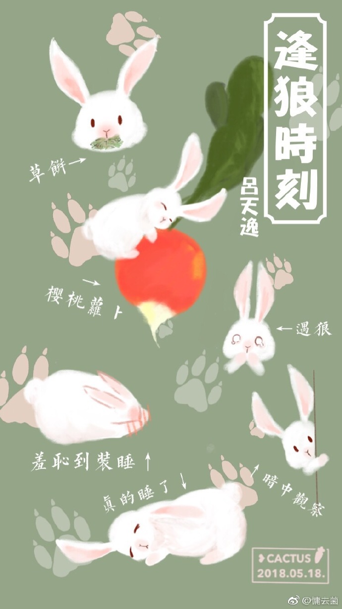 郎靖风白阮