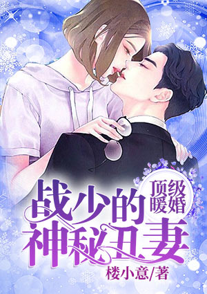 顶级暖婚:战少的神秘丑妻