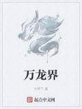 万龙界小说