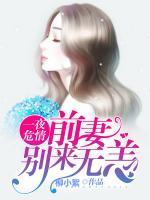 一夜危情:前妻,别来无恙