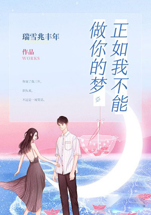 正如我不能做你的梦