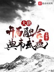 大唐:开局融合典韦武魂