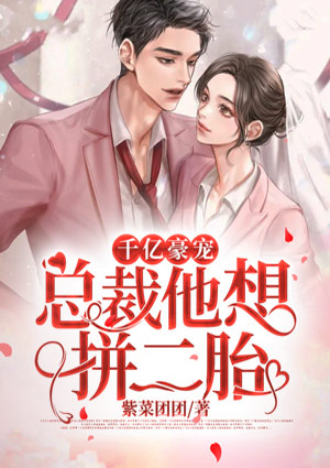 千亿豪宠:总裁他想拼二胎
