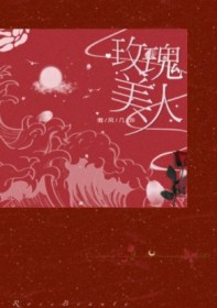 玫瑰美人